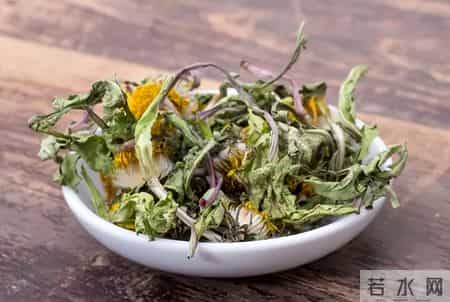 河南一56岁女子,长期坚持喝蒲公英泡水,后来身体怎么样了?