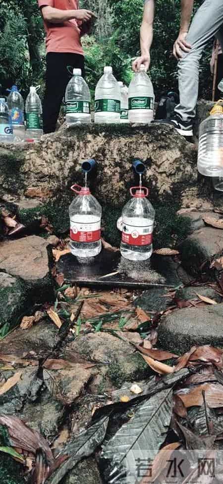 广东潮州一村庄藏着原始森林，竟有700年古树