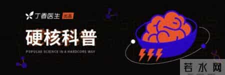 身体里自带的「减肥药」，可惜很多人不会用