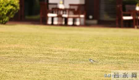 45岁阿姨去迪拜当保姆，在雇主家后院挖地种了花园，就此改变人生