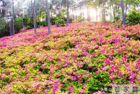 男性只要保持一种姿态，对女性具有极强吸引力