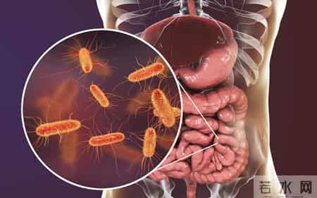 医生提醒：无论多坏的肺，只要常吃这5样，肺一天比一天好。