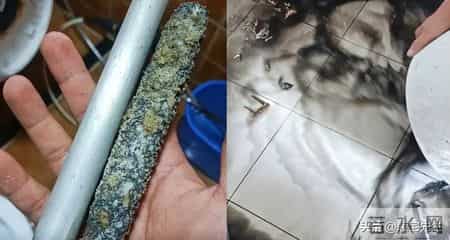 快过年了，这5件“家电”不清洗，可能比马桶还脏，很多人不知道