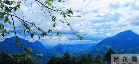 如果你已经五十岁了，请花一分钟看看，对你一定有帮助