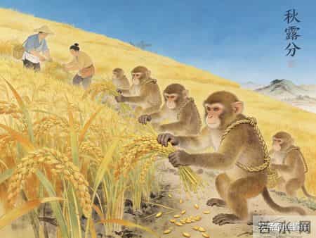 申猴必看:2026年春节前,你家里要进一笔大钱。先别乐,干三件事