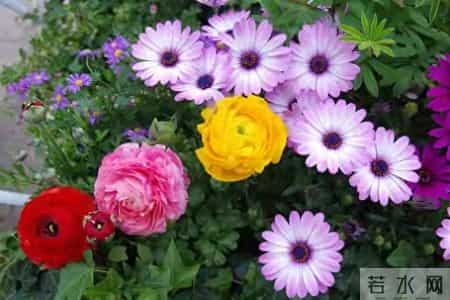 男人别错过！微信上女人发这3个表情，就是喜欢你的信号