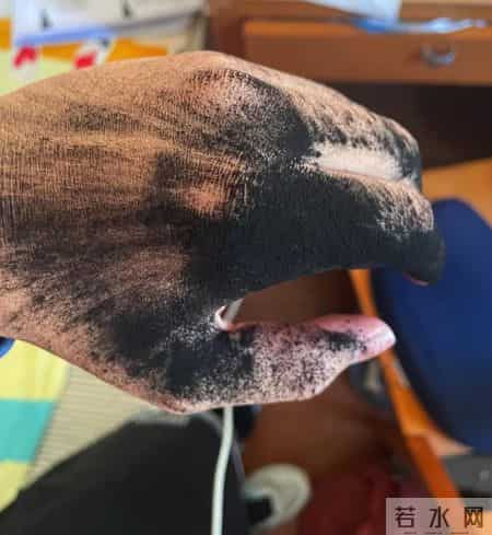 建议不要购买的6种“坑人家电”,易释放有害物质,都是大垃圾!