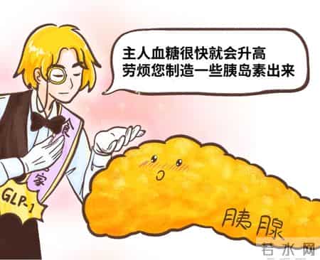 身体里自带的「减肥药」，可惜很多人不会用