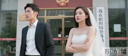 和女董事隐婚第2年，我冷静提出辞职离婚，民政局门口