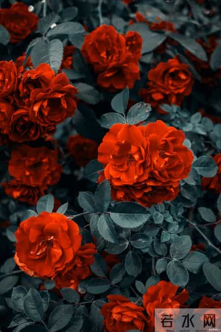 一个城府深的人，报复你的方式往往只有三种，看似不动声色，其实招招致命