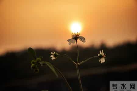 属猴的跟你说个实在的:特别是56年的猴