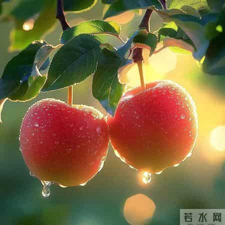 平平安安的微信头像