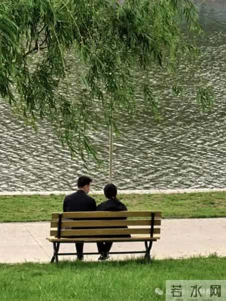 平壤风云（308）在公园撞见朝鲜初恋情人