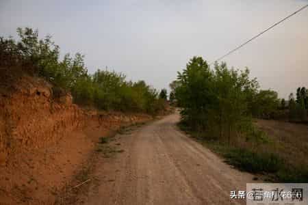 95年得知我准备去相亲，邻居的女儿连着三天来我家借盐，母亲笑了