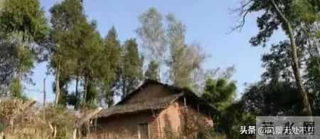 漂亮的五婶:(164)夜路心事,五婶和马三的鸡蛋车里的秘密