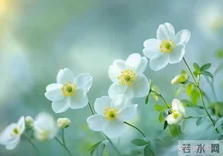 女人接吻时，有这“下意识反应”，说明她已对你“彻底沦陷”