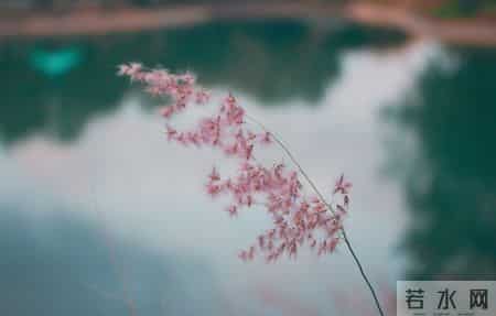 男女之间哪怕再清白,一同去过这2个地方,关系也就“变味”了!