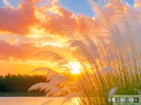 我爸抢救20天，女友从没来过，我提分手，刚办完后事，她打来电话