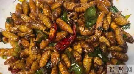 上海姑爷去东北媳妇家,看到晚餐不敢动筷子,网友:我也不敢吃