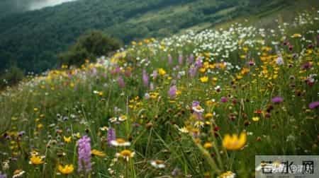 女人同意摸手意味着什么？不仅是信任，更是想让你走进她心里！