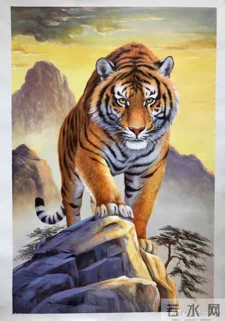 生肖虎,和这4类人结婚,日子只会越过越苦