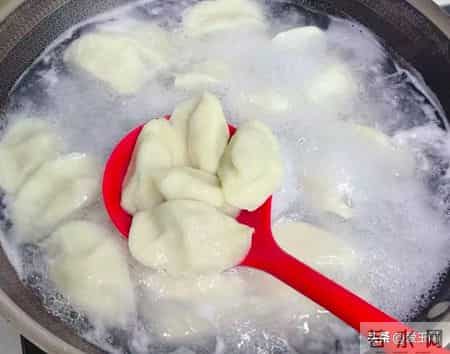 冬天，这菜使劲吃！包饺子一口一个真鲜美，多吃增强体质，别不懂