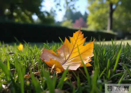 微信上这样回复你的人，其实是看不起你，不必再联系了！