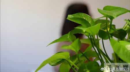 留学儿子为给“女友”还债申请退学，母亲担心儿子遭“恋爱杀猪盘”花18万找律师促分手退费难：法院已立案