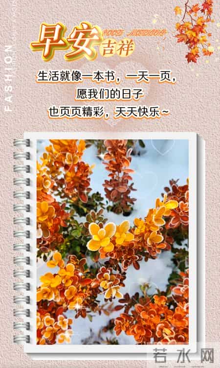 2026年1月29日周四早上好早上好图片最新今天 温馨淡雅的早安图片