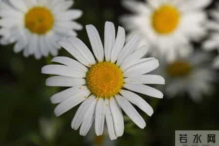 如果一个人还在穿10年前的衣服，说明了3个问题