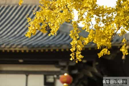 我发现男人到了60岁，如果还能占以下十条，绝对是人生赢家