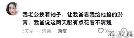 女婿向丈母娘告状！网友：一年一度的告状日又到了。