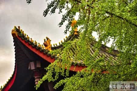 我发现男人到了60岁，如果还能占以下十条，绝对是人生赢家