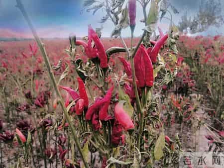命里无福的女人，通常有这三个坏习惯，沾一个就够苦