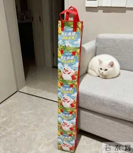 晒晒我婆婆的“0元收纳方式”，没花一分钱，家里收拾的井井有条