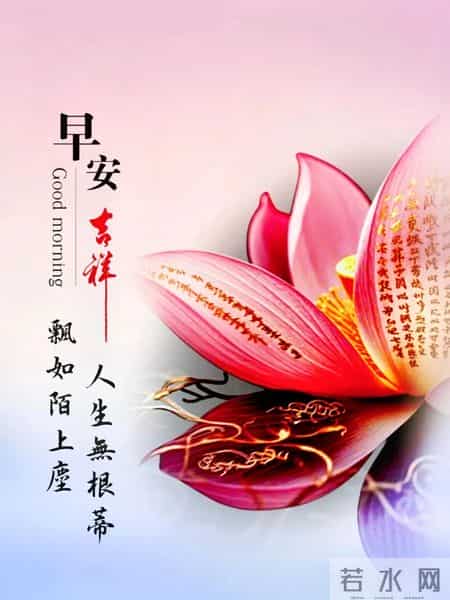 早上好！美图四张。人生无根蒂，飘如陌上尘。………