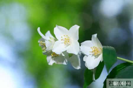 男人会主动离开婚外女人，几乎都不是因为爱老婆，而是出于3个“怕”