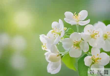 女人接吻时，有这“下意识反应”，说明她已对你“彻底沦陷”