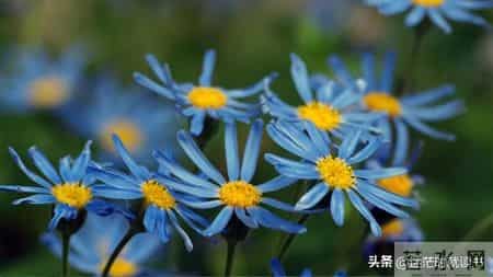 焦虑本质就是一种处于“怕”的状态，摆脱焦虑的方法，就一句话