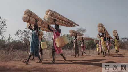 南苏丹的女人们扛着整捆的草,这些是用来搭建房屋的材料