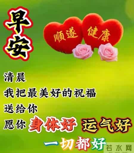 日常问候朋友早上安康暖心句子集合，寒冬腊月唯美早安祝福动态鲜花图片