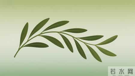 人老了,这6样,你占一样就了不起,全占简直是人生赢家!