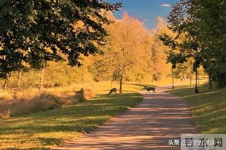 别人拿你立威，不需要撕破脸，只需要这4招就够了