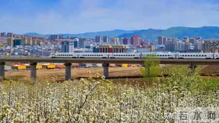 焦虑本质就是一种处于“怕”的状态，摆脱焦虑的方法，就一句话