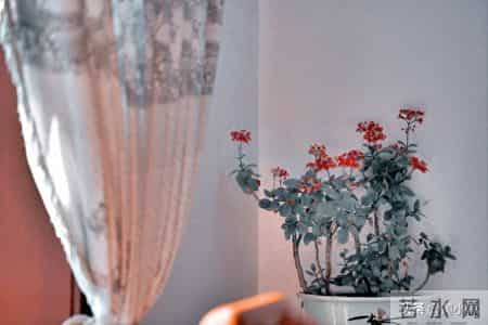 妻子跟丈夫回村过年，嫌婆家脏坚决不住，隔天回娘家被丈夫教育了