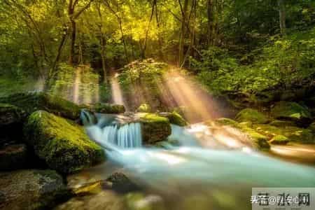 生肖蛇注意:你这辈子最大的“灾难”,就是你自己那身“死心眼”