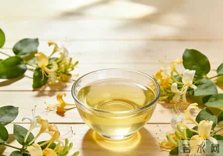 金银花被关注!医生:癌症患者喝金银花茶,不过多久或有5变化