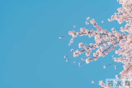 我生病住院让儿子垫付2万，儿子沉默儿媳说没钱，我心中有了决定