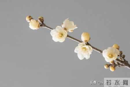 亲人去世，不掉眼泪的，多半是这4类人，很现实