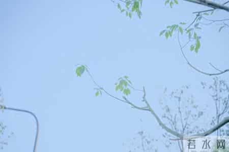 为什么你明明就长得一般，但就是非常好看！